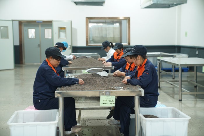 厂区车间现场展示